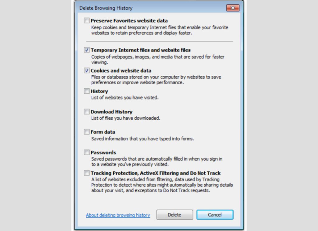 Internet Explorer History Cleaning