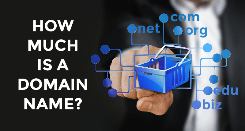 Domain Name Cost